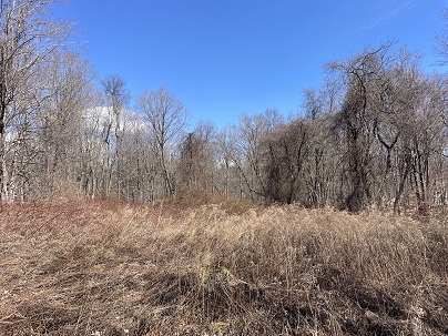 147 Middle River Rd, Danbury, CT 06811 United States