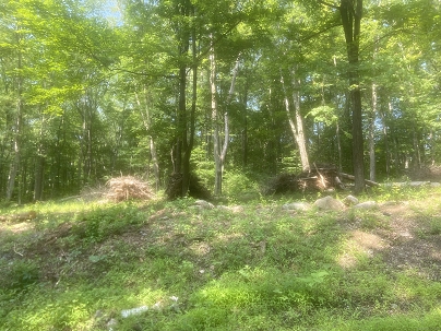 1161 Monroe Tpke, Monroe, CT 06468 United States