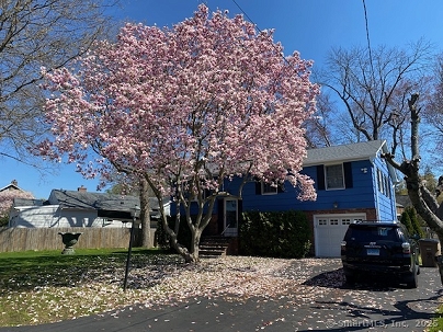 46 Stamford Ave, Stamford, CT 06902 United States