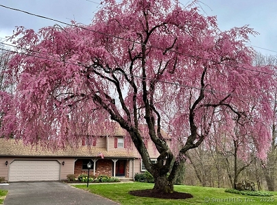 36 Panorama Dr, Southington, CT 06489 United States