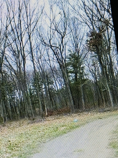 25 Matthew Ln, Windsor, CT 06095 United States