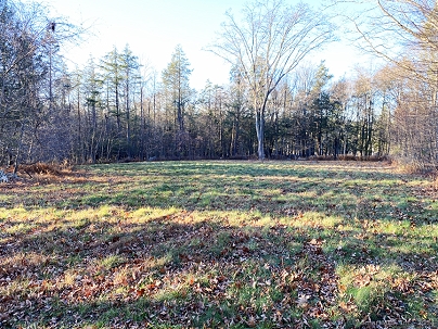 40 Pond Ridge Rd, Goshen, CT 06756 United States