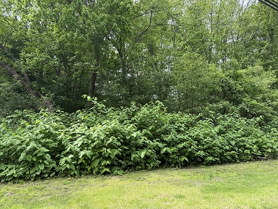 2 Sandra Ave, Plymouth, CT 06786 United States