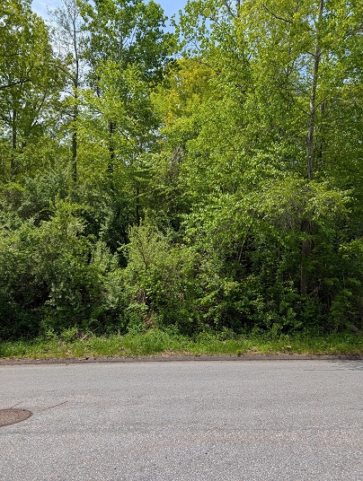 229 Wimbledon Gate N, Torrington, CT 06790 United States