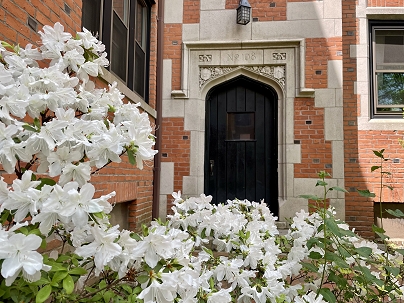 106 Livingston St Unit C5, New Haven, CT 06511 United States