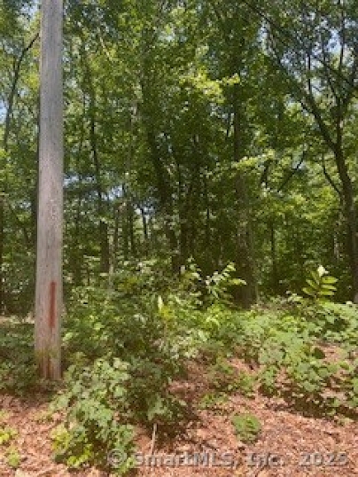 6 Grouse Ln, Woodbridge, CT 06525 United States