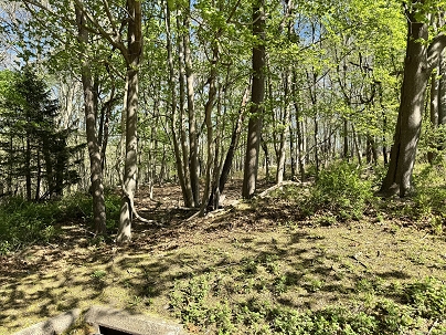 11 Mamacoke Rd, Waterford, CT 06375 United States